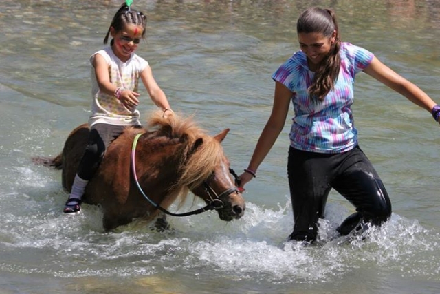 Paseando por el agua.jpg